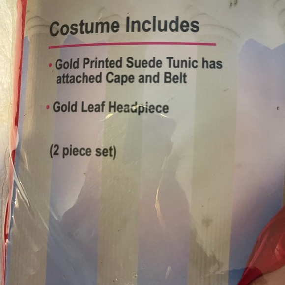 NWT Mens Julius Caesar Costume Size Large - Picture 8 of 12